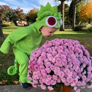 Pascal from Disney’s Tangled costume - 24 months
